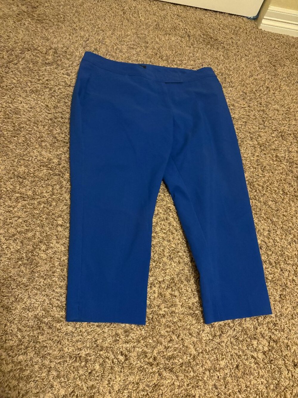Talbots Heritage Pants 18WP 18W Petite Royal Blue Zip Fly Pockets Cotton Blend